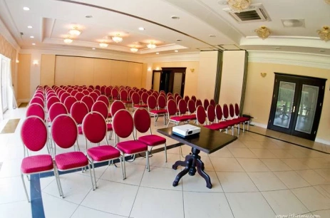 Sala konferencyjna Sala Parkowa - cała w Pałac Wąsowo Wąsowo