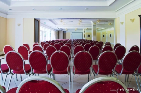 Sala konferencyjna Sala Parkowa - cała w Pałac Wąsowo Wąsowo