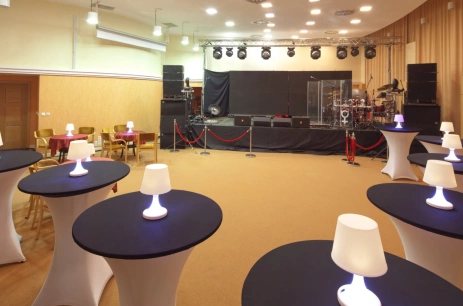 Sala konferencyjna Sala Bursztynowa w ****Hotel Dom Zdrojowy Resort & SPA Jastarnia