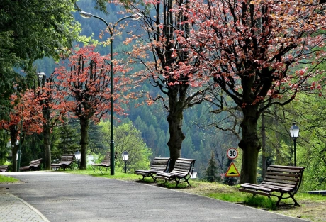 Pieniny Grand Hotel