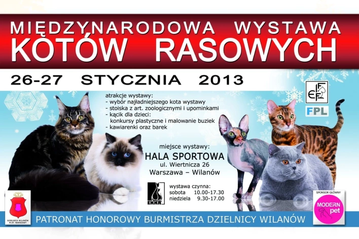MIĘDZYNARODOWA WYSTAWA KOTÓW RASOWYCH