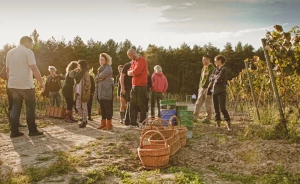 Pałac Mierzęcin Wellness & Wine Resort Obiekt szkoleniowo-wypoczynkowy / 3