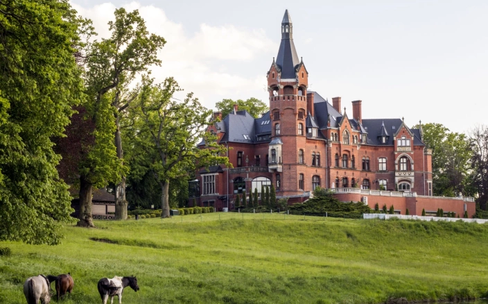 Sale konferencyjne Wąsowo - Pałac Wąsowo
