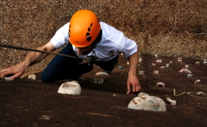 Hotel PANORAMA*** Hotel *** / 3