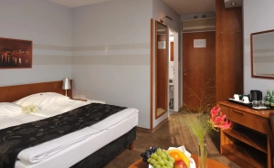 CITY HOTEL Hotel **** / 2