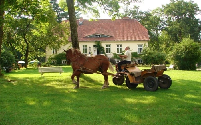 Sale konferencyjne Sorkwity - Hotel in Park Sp.z o. o.