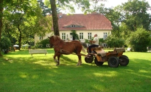 zdjęcie usługi dodatkowej, Hotel in Park Sp.z o. o., Sorkwity