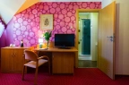 Hotel *** Hotel Ognisty Ptak / 15
