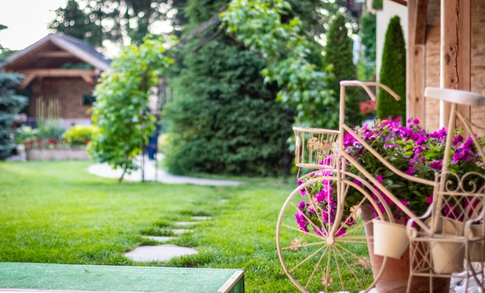 Wellness&Spa W krainie Alicji Nałęczów