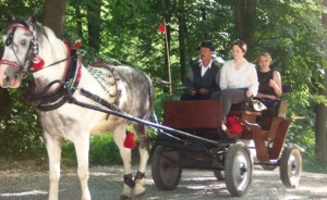 zdjęcie usługi dodatkowej, Zamek Korzkiew, Przybysławice