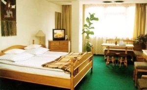 zdjęcie pokoju, Hotel Gromada Zakopane ***, Zakopane