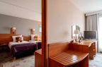 Hotel *** Hotel Mercure Cieszyn / 24