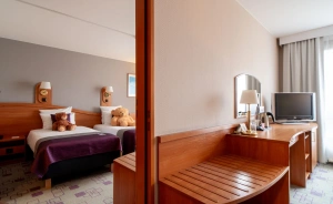 Hotel Mercure Cieszyn Hotel *** / 3