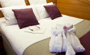 Mercure Cieszyn Hotel *** / 3