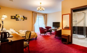 Hotel na Błoniach Hotel *** / 1