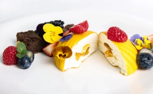 Hotel Crocus ****Zakopane Hotel **** / 0