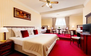 Pałacyk Otrębusy Business & SPA Inne / 1