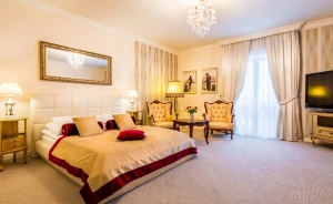 Pałacyk Otrębusy Business & SPA Inne / 0