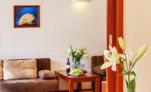 Hotel Columbus Rowy Obiekt szkoleniowo-wypoczynkowy / 2