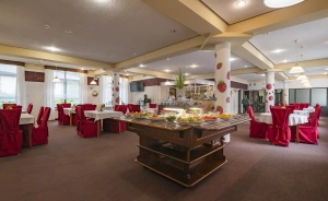 Hotel Perła Bieszczadów*** Hotel *** / 2