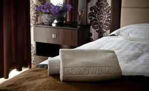 Hotel Borowina Hotel *** / 2