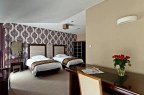 Hotel *** Hotel Borowina / 3
