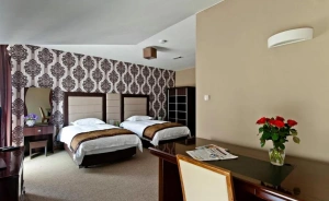 Hotel Borowina Hotel *** / 3