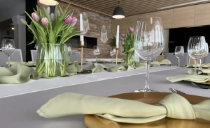 Marena Wellness & Spa Obiekt szkoleniowo-wypoczynkowy / 2