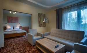 Hotel Kuźnia Napoleońska Hotel *** / 0