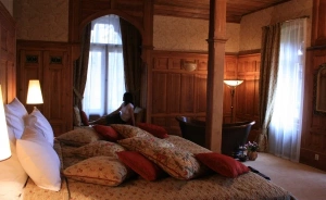 zdjęcie pokoju, Pałac Dębowy, Jelenia Góra