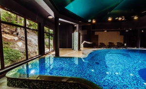 Jelenia Struga MEDICAL SPA **** koło Karpacza, Karkonosze Hotel **** / 0