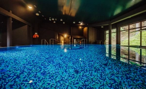 Jelenia Struga MEDICAL SPA **** koło Karpacza, Karkonosze Hotel **** / 3
