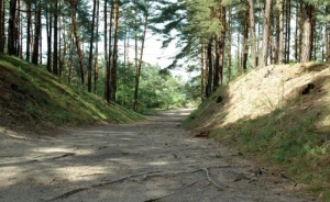 zdjęcie usługi dodatkowej, Pensjonat Jantar Leśniczówka, Jantar Leśniczówka