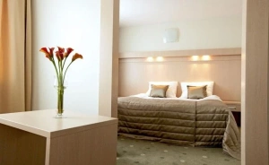 zdjęcie pokoju, Hotel Cieplice, Jelenia Góra