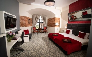 Hotel ZAMEK GNIEW **** Hotel **** / 2