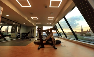 Hotel w Centaurusie Hotel *** / 2