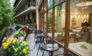 Hotel Europa *** Górnicza Strzecha Hotel *** / 1