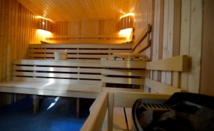 Hotel Europa *** Górnicza Strzecha Hotel *** / 2