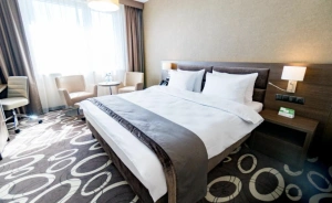 Holiday Inn Dąbrowa Górnicza Hotel **** / 2