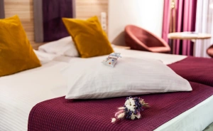 Hotel Galaxy Hotel **** / 0