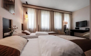 Hotel Borowiecki *** Hotel *** / 2