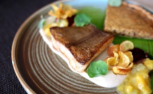 Tristan Hotel & SPA**** Hotel **** / 1