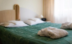 Geovita Krynica-Zdrój Hotel SPA / 2