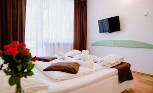 Geovita Krynica-Zdrój Hotel SPA / 1