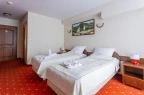 Hotel *** Hotel *** Skalny Dworek / 9