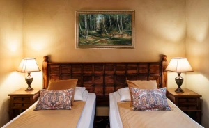 Hotel Zameczek Hotel SPA / 1