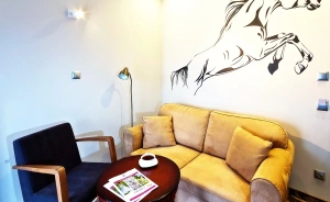 Hotel Nosselia***, 40 minut od Warszawy Ośrodek szkoleniowo- wypoczynkowy / 2