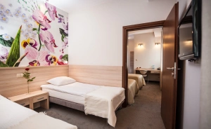 Hotel Nosselia***, 40 minut od Warszawy Ośrodek szkoleniowo- wypoczynkowy / 0