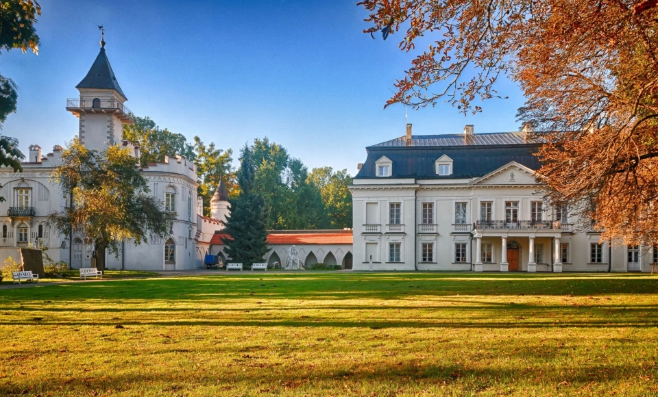 Pałac w Radziejowicach