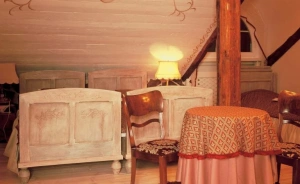 Dwór Chotynia Pałace, dworki, zamki / 1